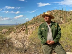 Etats-Unis : des cactus Saguaros vieillissants