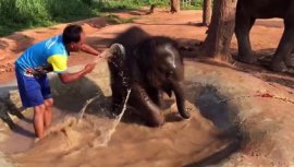 Bébé bain mignon éléphant arrosage pulvérisation a – Grandado