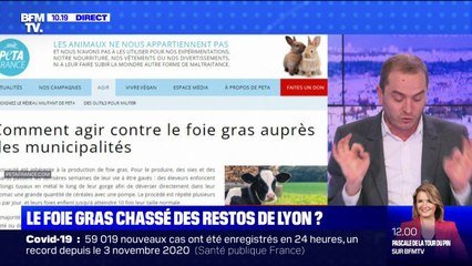 VIDEO. Foie gras : une ferme expérimentale de l'Ariège élève des oies sans  les gaver
