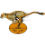 Cheetahs