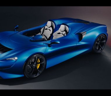 McLaren Elva : thèmes et spécifications
