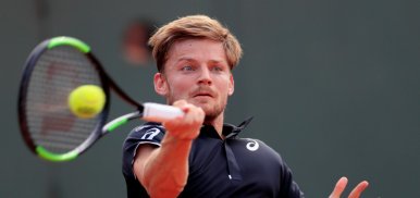 Goffin a eu chaud