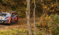 Rallye - WRC - Japon : Neuville s'adjuge le dernier rallye de la saison