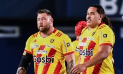 Top 14 : Tout savoir sur l'access match Grenoble - Perpignan 