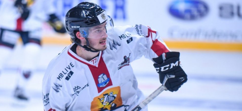 Hockey sur glace - Ligue Magnus (J37) : Rouen tombe chez la lanterne rouge