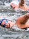 Natation - Chpts d'Europe (F/eau libre) : Delacroix au pied du podium, Gaudaire 6e