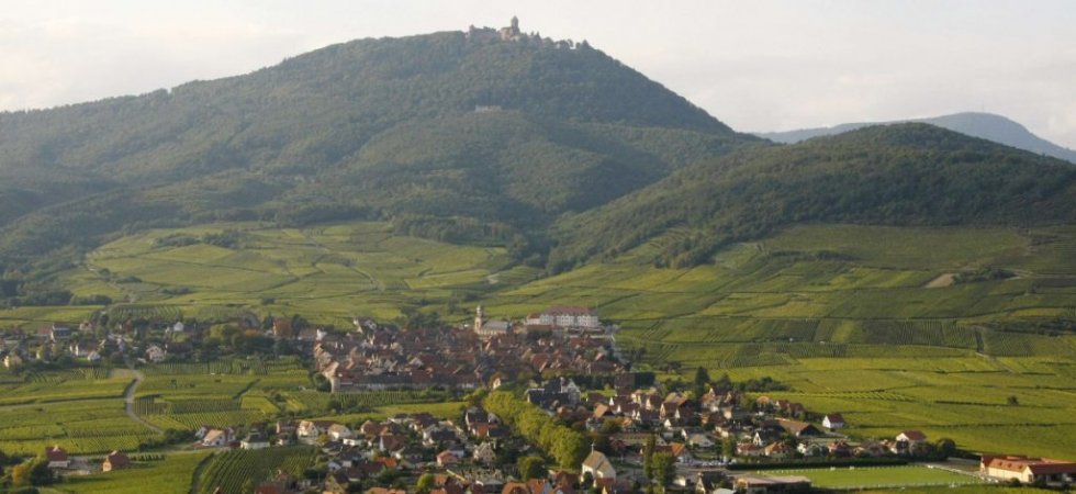 Première réussie pour le Trail Alsace Grand Est by UTMB