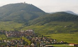 Première réussie pour le Trail Alsace Grand Est by UTMB