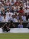 Wimbledon (F) : Noskova rejoint Muchova pour une finale 100 % tchèque