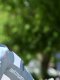 Tour Auvergne-Rhône-Alpes : Onley non-partant, Vauquelin devra cravacher