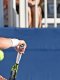ATP - Cincinnati : Stoppé par Khachanov, Royer n'a pas à démérité 