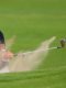 British Open : Première pour Scheffler 