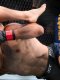 MMA : Saint Denis s'incline, McGregor rate son retour