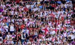 Ce supporter anglais regarde les matchs de son équipe... dans un arbre 