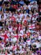 Ce supporter anglais regarde les matchs de son équipe... dans un arbre 