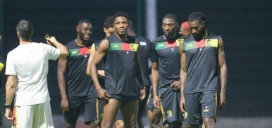 Cameroun : La Fécafoot se retire, les Lions Indomptables dans l'impasse 