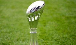 Challenge Cup (J1) : Pau craque face aux Cheetahs, Brive écrasé par Cardiff, Toulon petit vainqueur des Zebre