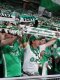 Saint-Etienne : Plus de 30 000 supporters attendus samedi face à Rodez 