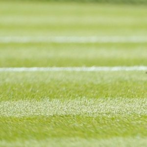 WTA : Nottingham, Eastbourne et Birmingham amendés