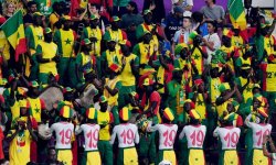 CM 2022 : 20 ans plus tard, le Sénégal est en fête