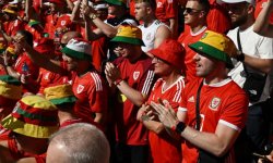 Galles : Mais d'où vient le bob rasta des supporters ?