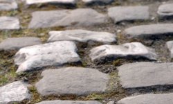 Paris-Roubaix : Des pavés volés ! 