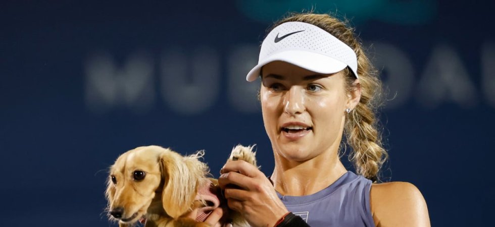 Roland-Garros : Quand le chien d'une joueuse perturbe son match
