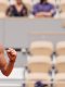 WTA - Hambourg : Boisson s'offre Yastremska et se qualifie pour la finale 