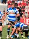 Champions Cup : Un départ des équipes sud-africaines envisagé