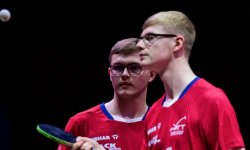 Tennis de table - Grand Smash de Las Vegas : Les frères Lebrun battus en finale 