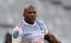 Sharks : Mbonambi misogyne envers une arbitre ? 