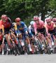 Critérium du Dauphiné : L'étape neutralisée après une grosse chute, pas de vainqueur ce jeudi 