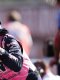 F1 - Gasly : « Neuf ans que j'essaye »