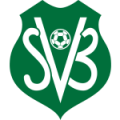 logo Suriname