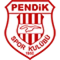 PENDIKSPOR