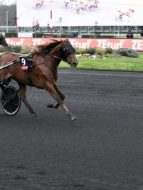 Le Prix d'Amérique remporté par le français Hooker Berry