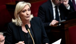 Retraites : Le Pen appelle les électeurs de la majorité et de LR à "faire pression"