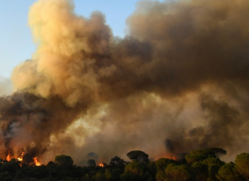 Incendies en Dordogne : les deux feux sont "fixés", 110 hectares de forêt brûlés