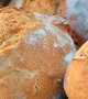 Lisieux : à cause de l’inflation, le pain a été supprimé des plateaux-repas des retraités en perte d’autonomie