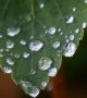 L'eau de pluie n'est plus propre à la consommation nulle part sur Terre, selon une étude