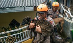 Séisme en Indonésie: le bilan monte à 310 morts