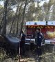 Pyrénées-Orientales: les incendies n'évoluent plus mais restent sous surveillance 