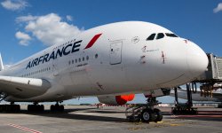 Japon : un avion Air France percute des oiseaux et est contraint d’opérer un demi-tour