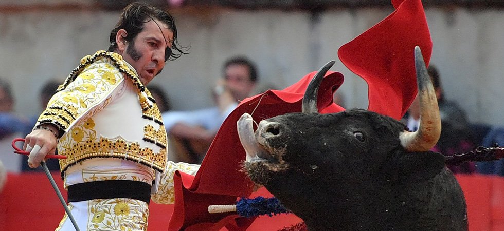 Espagne : un célèbre torero scalpé par un taureau lors d'une corrida
