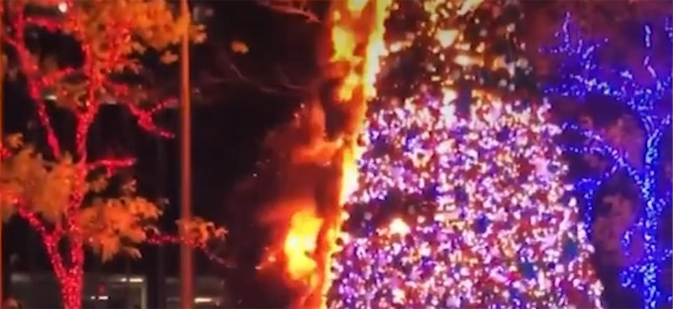 États-Unis : un homme soupçonné d'avoir incendié un sapin de Noël géant